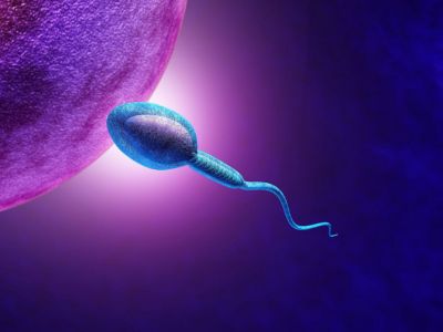 Για πρώτη φορά παρήχθη σπέρμα σε εργαστήριο – Πώς δημιουργήθηκε και γιατί είναι σημαντική ανακάλυψη