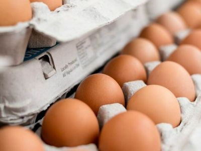 Οι ερευνητές δημιουργούν αντισώματα COVID-19 από αυγά - μελέτη