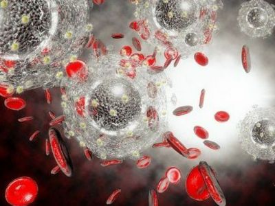 Eρευνητές εντοπίζουν πώς θανατηφόρος μύκητας αναπτύσσει αντοχή στα φάρμακα - μελέτη
