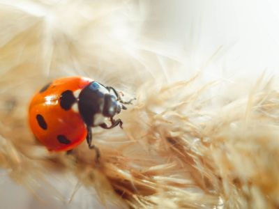 Διάβασε ΔΩΡΕΑΝ την προσωπική σου πρόβλεψη, για σήμερα 04/05/2024