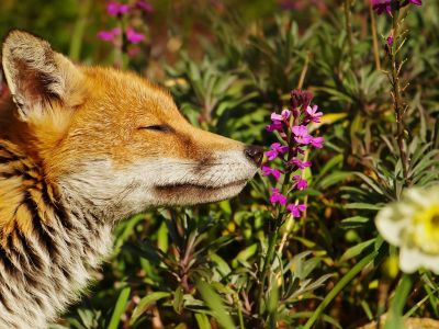 Διάβασε ΔΩΡΕΑΝ την προσωπική σου πρόβλεψη, για σήμερα 13/05/2024