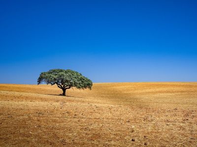 Διάβασε ΔΩΡΕΑΝ την προσωπική σου πρόβλεψη, για σήμερα 07/06/2024