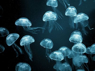 Διάβασε την προσωπική σου πρόβλεψη, για σήμερα 16/07/2025