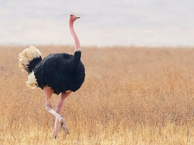 Διάβασε την προσωπική σου πρόβλεψη, για σήμερα 22/07/2025