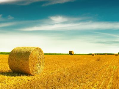 Διάβασε την προσωπική σου πρόβλεψη, για σήμερα 11/08/2025
