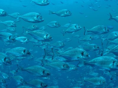 Διάβασε την προσωπική σου πρόβλεψη, για σήμερα 20/08/2025