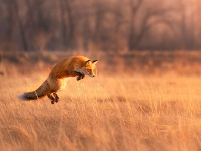 Διάβασε την προσωπική σου πρόβλεψη, για σήμερα 30/08/2025