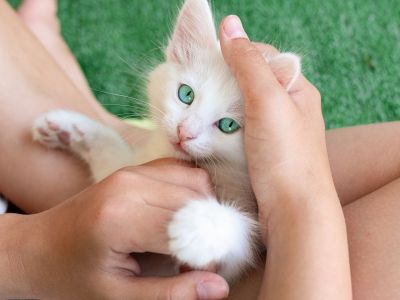 2 ζώδια θα νιώσουν ότι δεν παίρνουν αρκετή αγάπη, σήμερα 30/07 – Δες, αν είσαι μέσα!