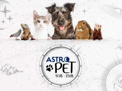 AstroPet από 17/08 έως 23/08: Εβδομαδιαίες προβλέψεις για το κατοικίδιό σου