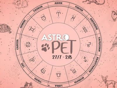 AstroPet από 27/07 έως 02/08: Εβδομαδιαίες προβλέψεις για το κατοικίδιό σου