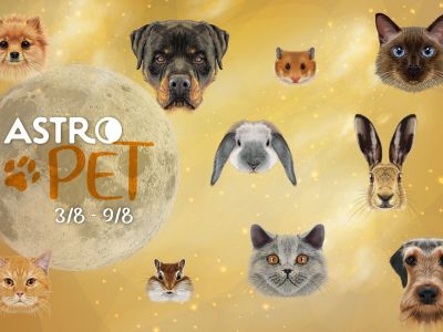 AstroPet από 03/08 έως 09/08: Εβδομαδιαίες προβλέψεις για το κατοικίδιό σου