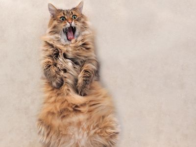 Ζώδια σήμερα 24/08: Χωρίς αιτία κι αφορμή