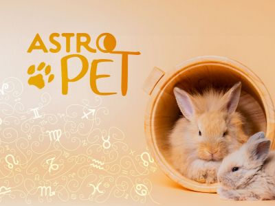 AstroPet από 23/09 έως 29/09: Εβδομαδιαίες προβλέψεις για το κατοικίδιό σου