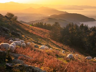 Διάβασε την προσωπική σου πρόβλεψη, για σήμερα 06/10/2025