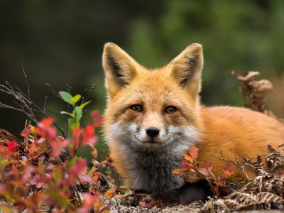 Διάβασε την προσωπική σου πρόβλεψη, για σήμερα 29/10/2025