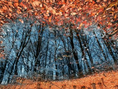 Διάβασε την προσωπική σου πρόβλεψη, για σήμερα 27/10/2025
