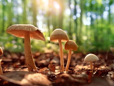 Διάβασε την προσωπική σου πρόβλεψη, για σήμερα 09/10/2025