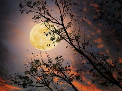 Πανσέληνος Supermoon στον Κριό 2025: Ξαφνικές Αποκαλύψεις και Μεγάλες Αλλαγές για Κάθε Ζώδιο!