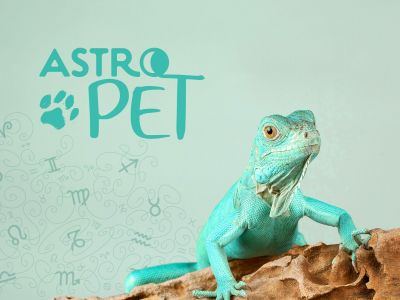AstroPet από 30/09 έως 06/10: Εβδομαδιαίες προβλέψεις για το κατοικίδιό σου