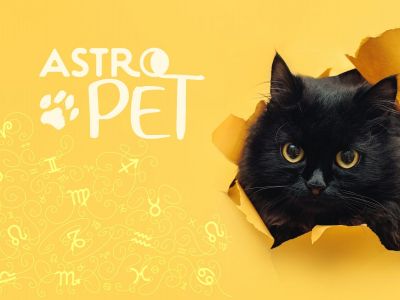 AstroPet από 07/10 έως 13/10: Εβδομαδιαίες προβλέψεις για το κατοικίδιό σου