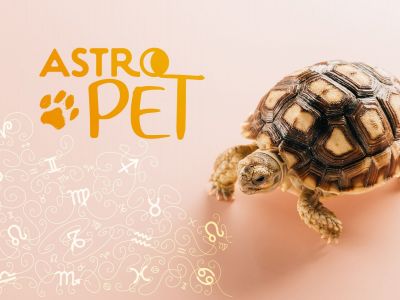 AstroPet από 21/10 έως 27/10: Εβδομαδιαίες προβλέψεις για το κατοικίδιό σου