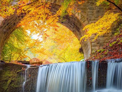 Νοέμβριος 2025: Ποιοι πλανήτες επηρεάζουν τη ζωή σου;