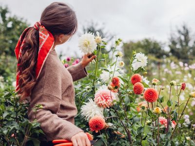 Ημερήσιες Προβλέψεις για όλα τα Ζώδια, 02/11: Μια ημέρα γεμάτη εξελίξεις