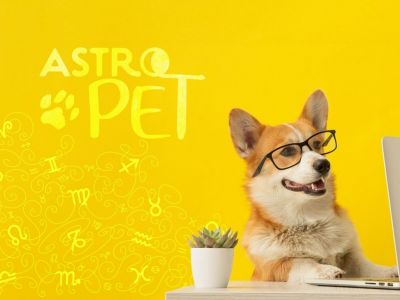 AstroPet από 28/10 έως 03/11: Εβδομαδιαίες προβλέψεις για το κατοικίδιό σου