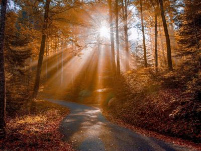 Διάβασε την προσωπική σου πρόβλεψη, για σήμερα 07/11/2025