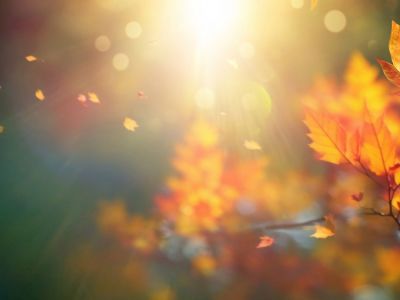 Διάβασε την προσωπική σου πρόβλεψη, για σήμερα 03/11/2025