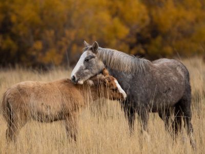 Διάβασε την προσωπική σου πρόβλεψη, για σήμερα 04/11/2025