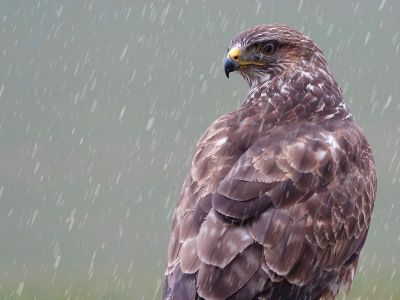 Διάβασε την προσωπική σου πρόβλεψη, για σήμερα 06/11/2025