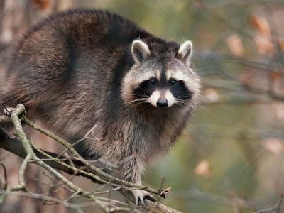Διάβασε την προσωπική σου πρόβλεψη, για σήμερα 02/11/2025