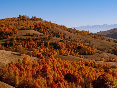 Διάβασε την προσωπική σου πρόβλεψη, για σήμερα 09/11/2025