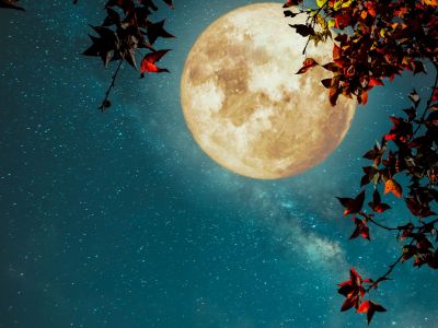 Δες τον δρόμο που σου δείχνει το Φεγγάρι από 01/11 έως 15/11