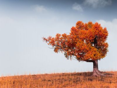 Διάβασε την προσωπική σου πρόβλεψη, για σήμερα 05/11/2025