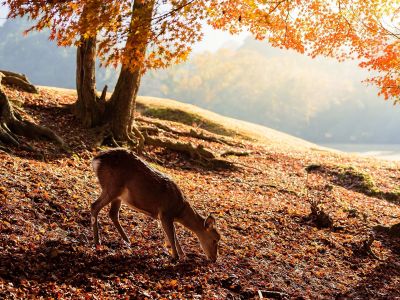 Διάβασε την προσωπική σου πρόβλεψη, για σήμερα 16/11/2025