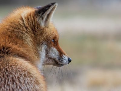 Διάβασε την προσωπική σου πρόβλεψη, για σήμερα 14/11/2025