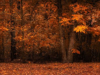 Διάβασε την προσωπική σου πρόβλεψη, για σήμερα 21/11/2025