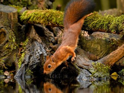 Διάβασε την προσωπική σου πρόβλεψη, για σήμερα 18/11/2025