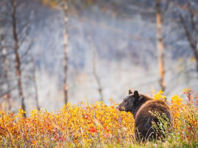 Διάβασε την προσωπική σου πρόβλεψη, για σήμερα 10/11/2025