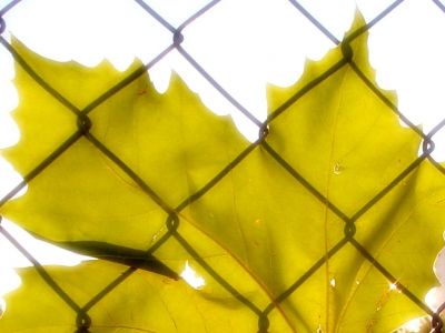 2 ζώδια θα αντιμετωπίσουν αρκετές προβληματικές καταστάσεις, σήμερα 08/11 – Δες, αν είσαι μέσα!