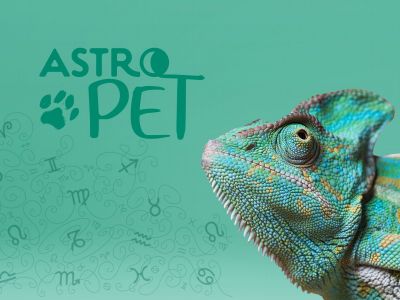 AstroPet από 11/11 έως 17/11: Εβδομαδιαίες προβλέψεις για το κατοικίδιό σου