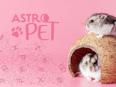 AstroPet από 18/11 έως 24/11: Εβδομαδιαίες προβλέψεις για το κατοικίδιό σου