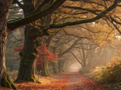 Διάβασε την προσωπική σου πρόβλεψη, για σήμερα 30/11/2025