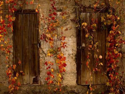 Διάβασε την προσωπική σου πρόβλεψη, για σήμερα 23/11/2025