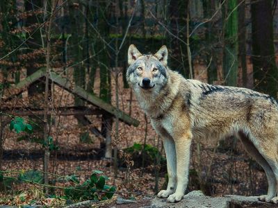 Διάβασε την προσωπική σου πρόβλεψη, για σήμερα 26/11/2025