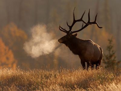 Διάβασε την προσωπική σου πρόβλεψη, για σήμερα 29/11/2025