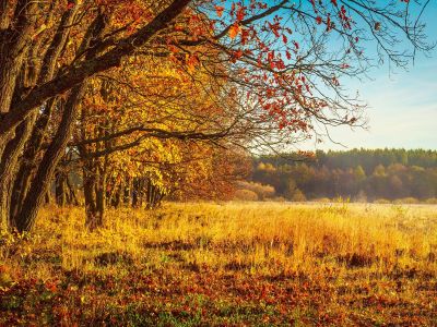 Διάβασε την προσωπική σου πρόβλεψη, για σήμερα 27/11/2025