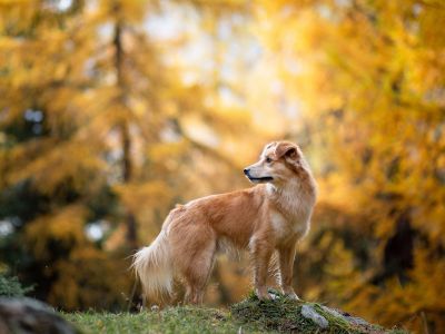 Διάβασε την προσωπική σου πρόβλεψη, για σήμερα 22/11/2025